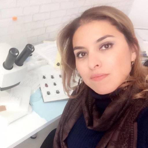 Ebru Gül Çilbiroğlu Aslan